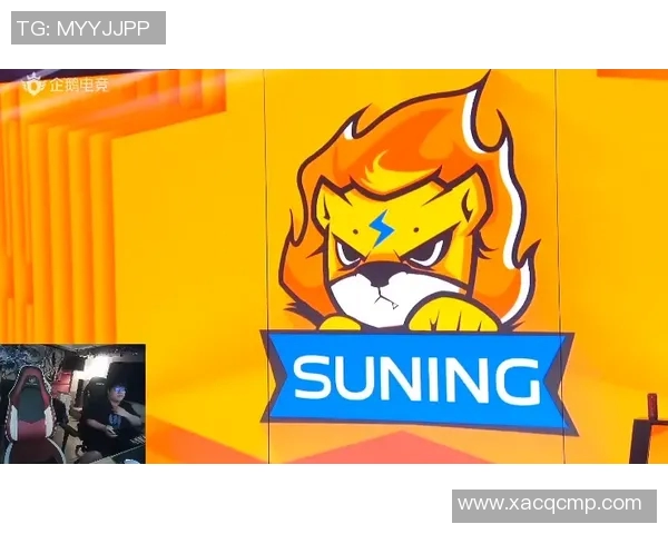 电竞战术解析LNG包夹体系在英雄联盟中的应用与效果分析